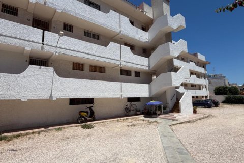 Apartment in Torrevieja, Alicante, Spain 1 bedroom, 45 sq.m. No. 183070
