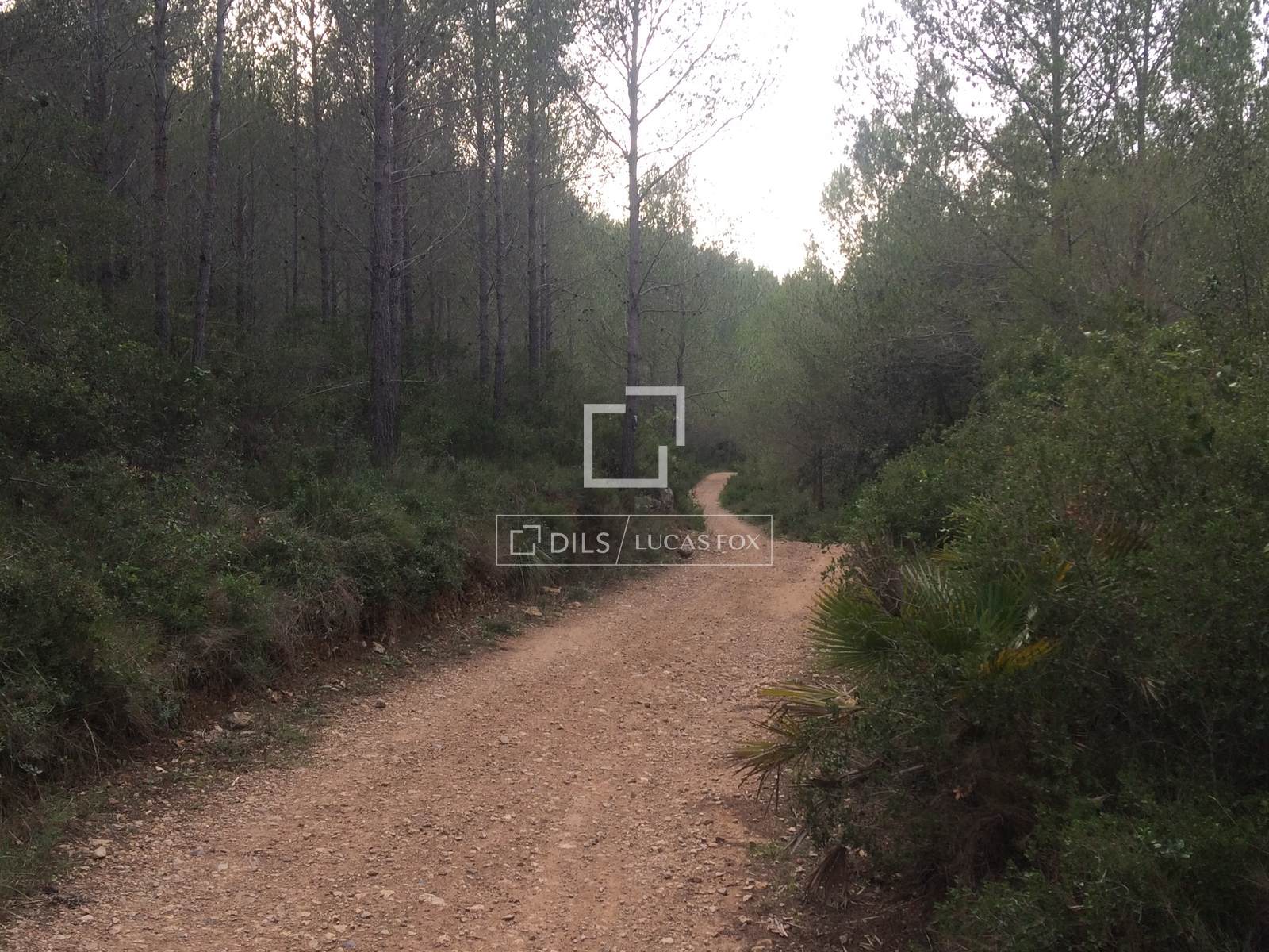 Finca Sitges, Barcelona, Spānijā 590 m2 Nr. 192659
