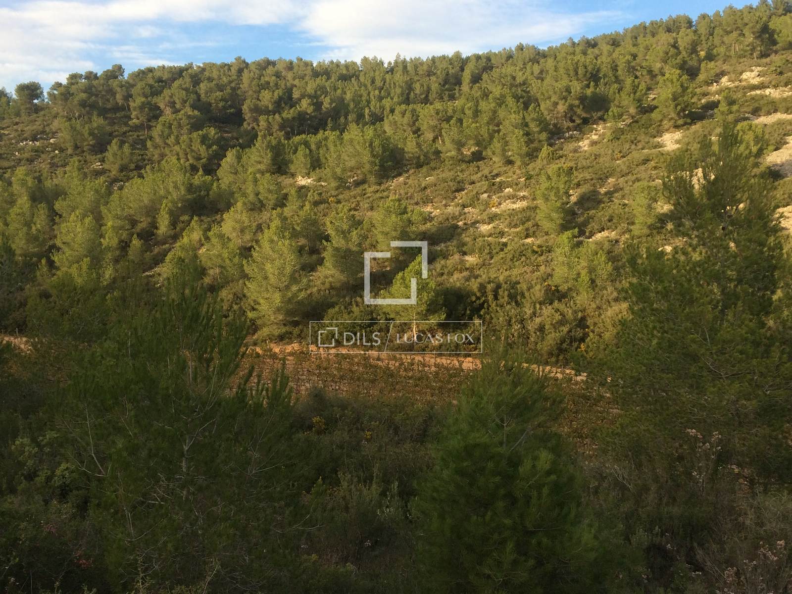 Finca Sitges, Barcelona, Spānijā 590 m2 Nr. 192659