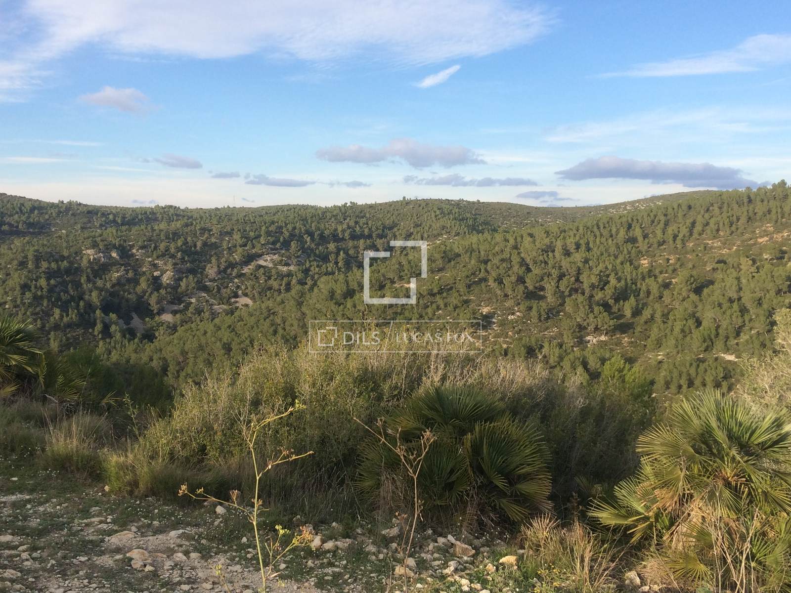 Finca Sitges, Barcelona, Spānijā 590 m2 Nr. 192659