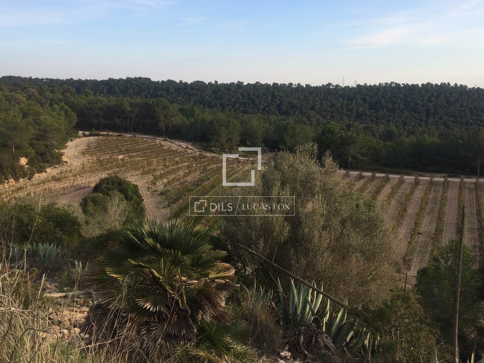 Finca Sitges, Barcelona, Spānijā 590 m2 Nr. 192659