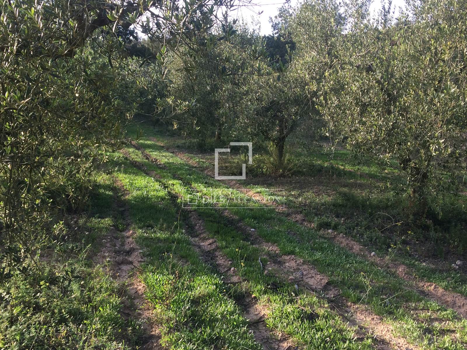 Finca Sitges, Barcelona, Spānijā 590 m2 Nr. 192659