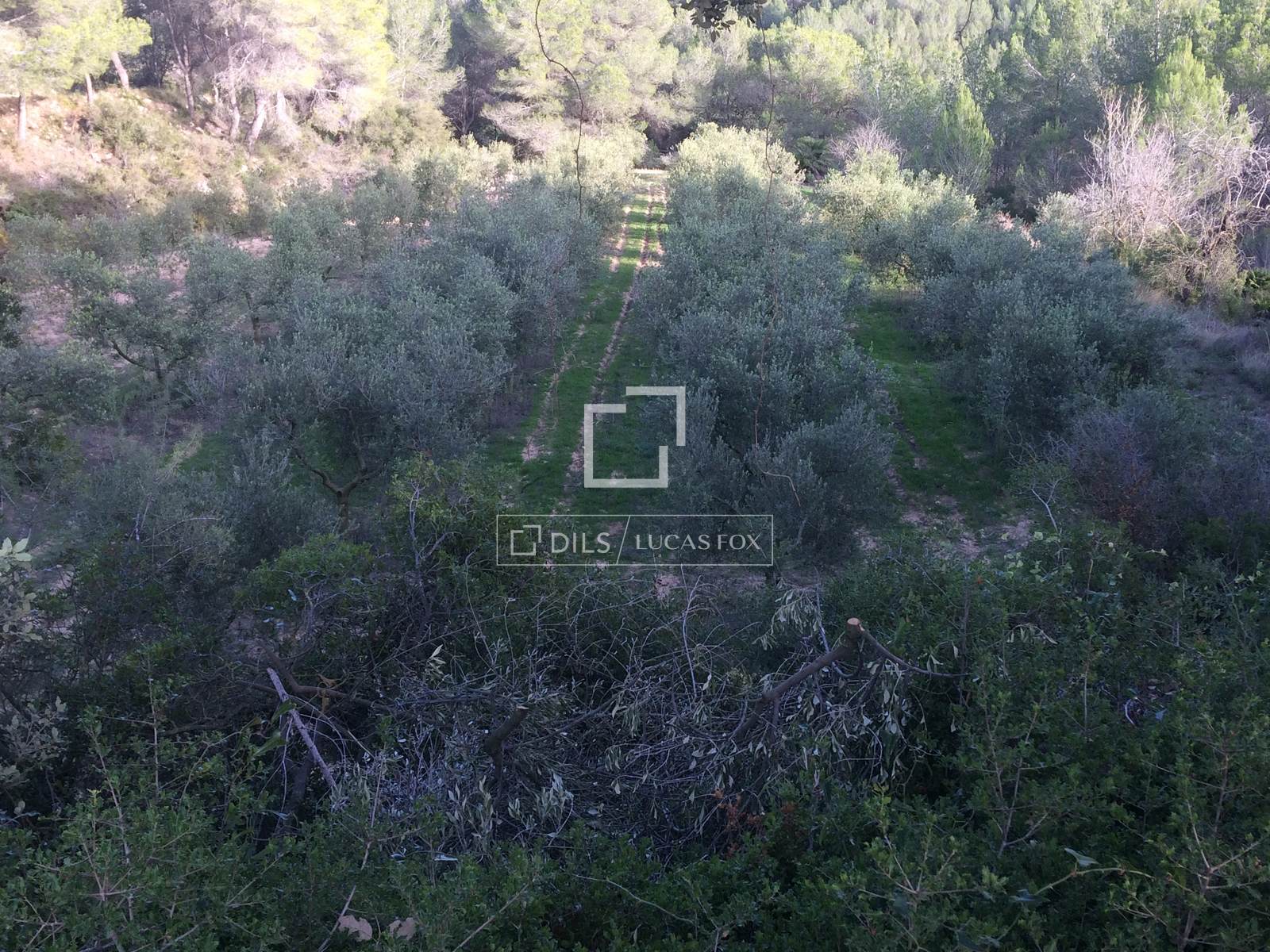 Finca Sitges, Barcelona, Spānijā 590 m2 Nr. 192659