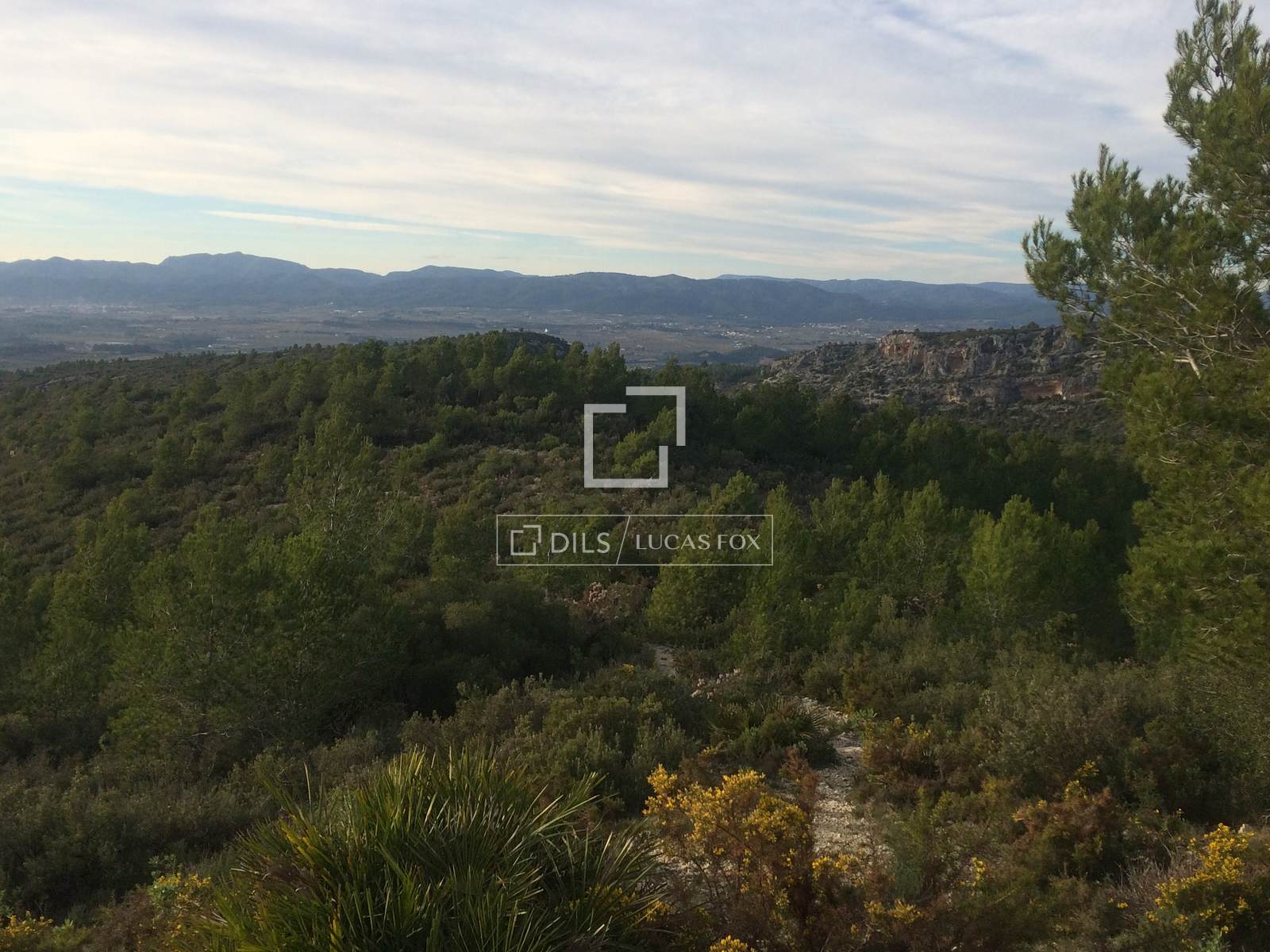 Finca Sitges, Barcelona, Spānijā 590 m2 Nr. 192659