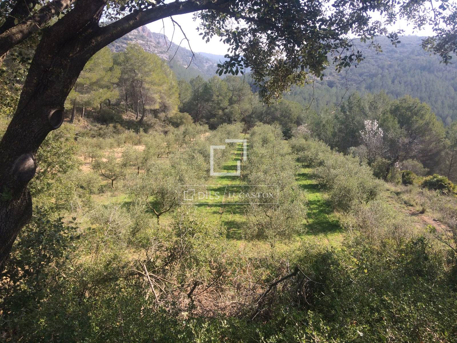 Finca Sitges, Barcelona, Spānijā 590 m2 Nr. 192659