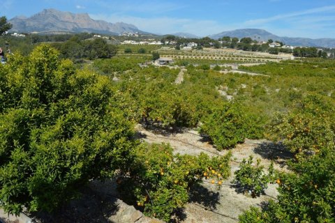 Tontti Altea, Alicante, Espanja 4 makuuhuonetta, 96 m2 No. 95729