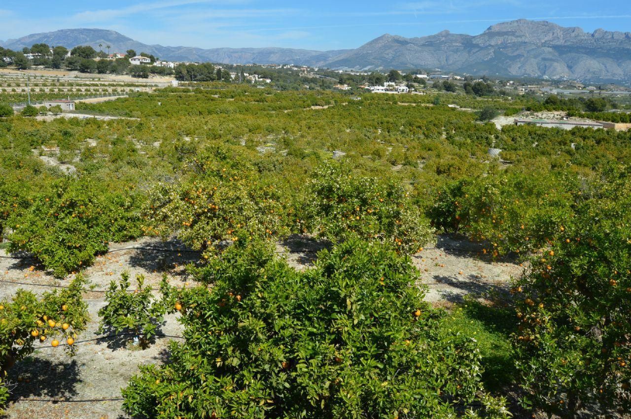 Działka w Altea, Alicante, Hiszpania 4 sypialnie, 96 mkw. nr 95729