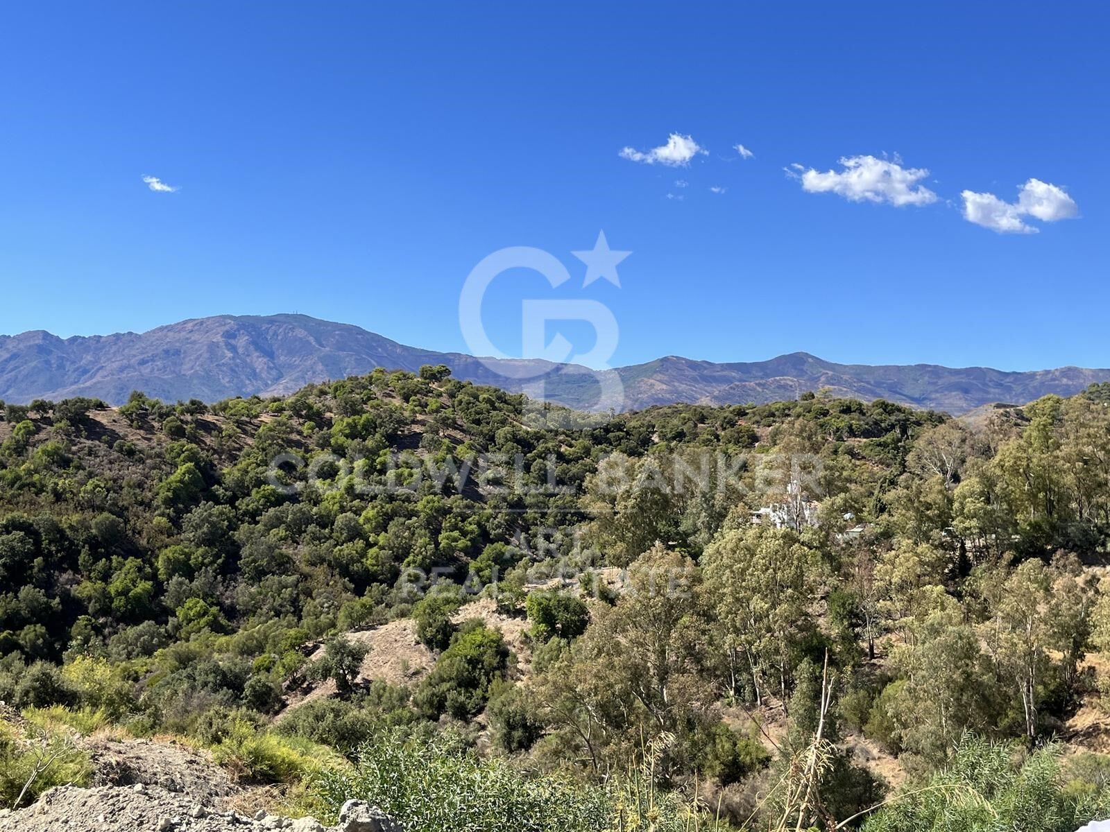 Land plot in Estepona, Malaga, Spain 500 sq.m. No. 158998