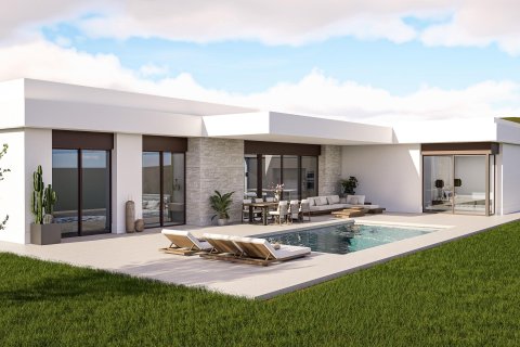 Villa en Pinoso, Alicante, España 3 dormitorios, 170 m2 No. 170087