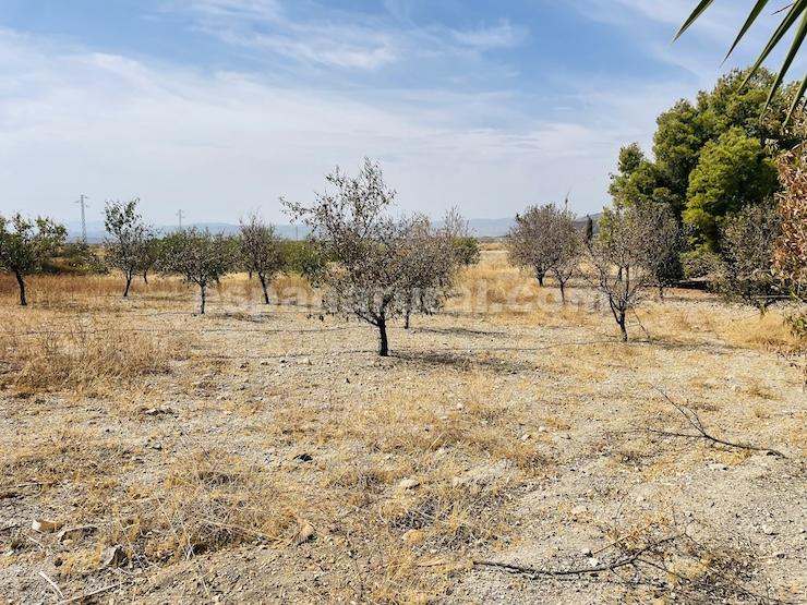 Сasa en Taberno, Almería, España 4 dormitorios, 437 m2 No. 195416