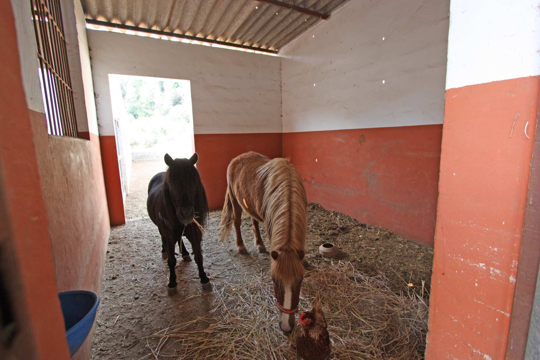 Finca à Orba, Alicante, Espagne 1 chambre, 43 m2 No. 149187