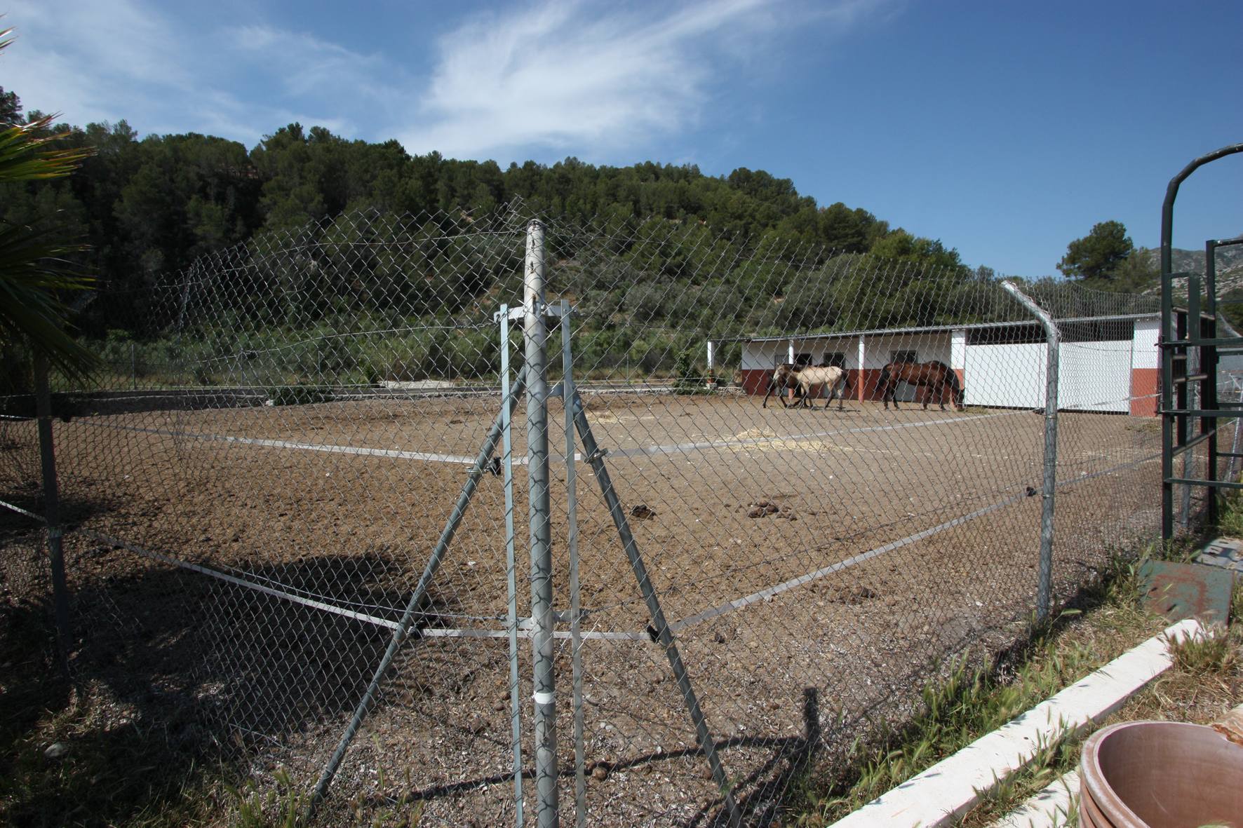 Finca à Orba, Alicante, Espagne 1 chambre, 43 m2 No. 149187