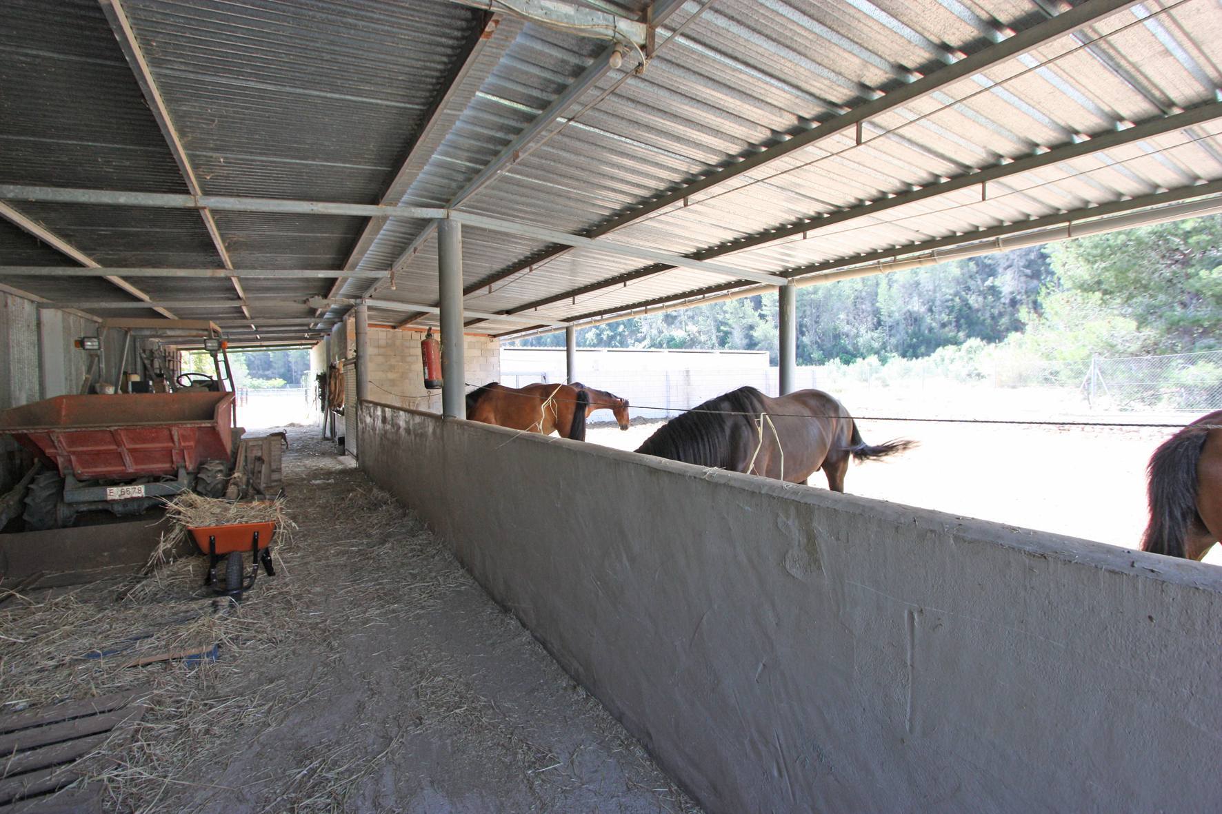 Finca à Orba, Alicante, Espagne 1 chambre, 43 m2 No. 149187