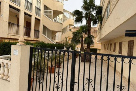 Appartamento a La Regia, Alicante, Spagna 2 camere da letto, 57 mq. N° 184460