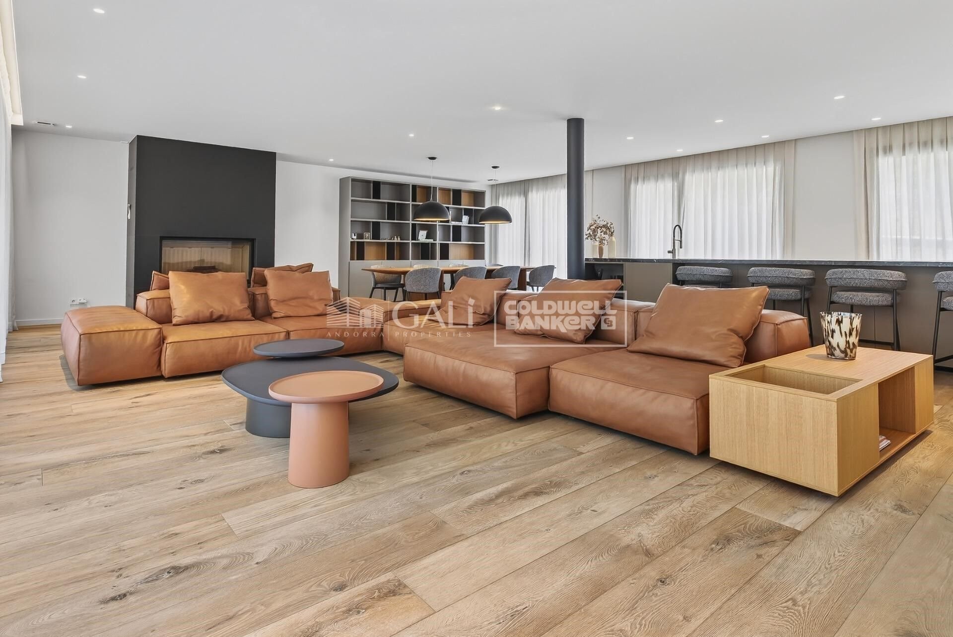 Penthouse in Principado De Andorra (Ninguna Poblacion Tiene C.P.), Lleida, Spain 5 bedrooms, 630 sq.m. No. 160485