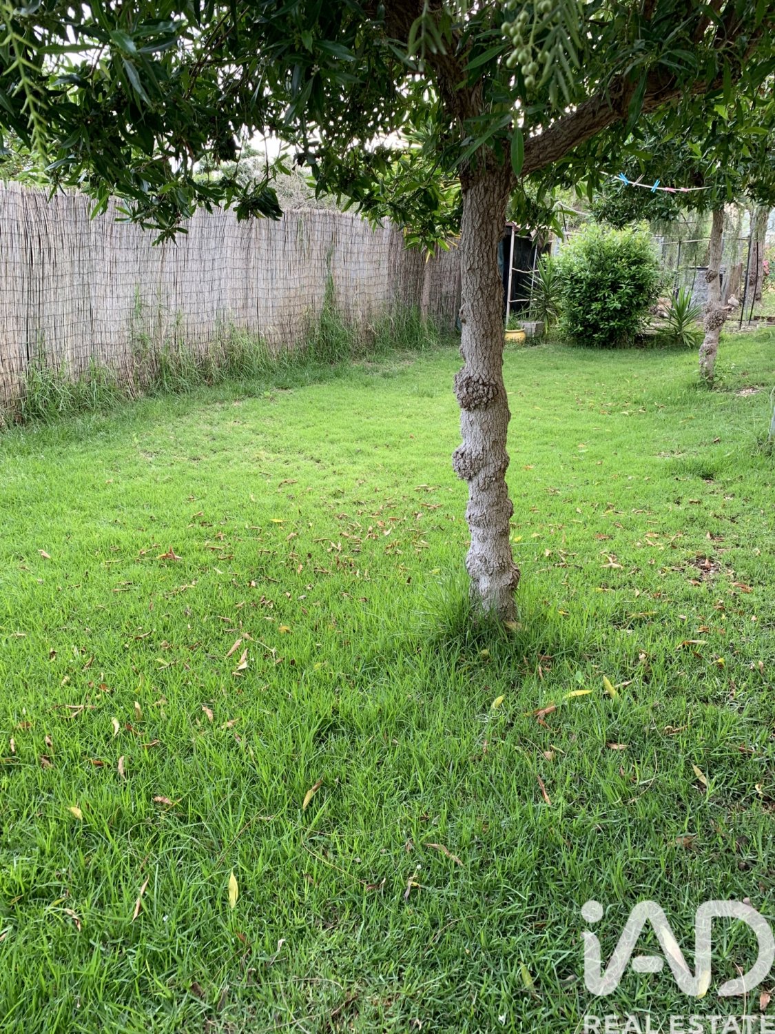 Terreno a Elche, Alicante, Spagna 750 mq. N° 184693