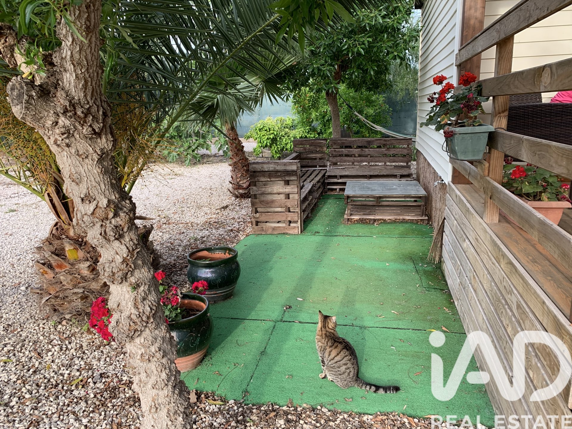 Terreno a Elche, Alicante, Spagna 750 mq. N° 184693