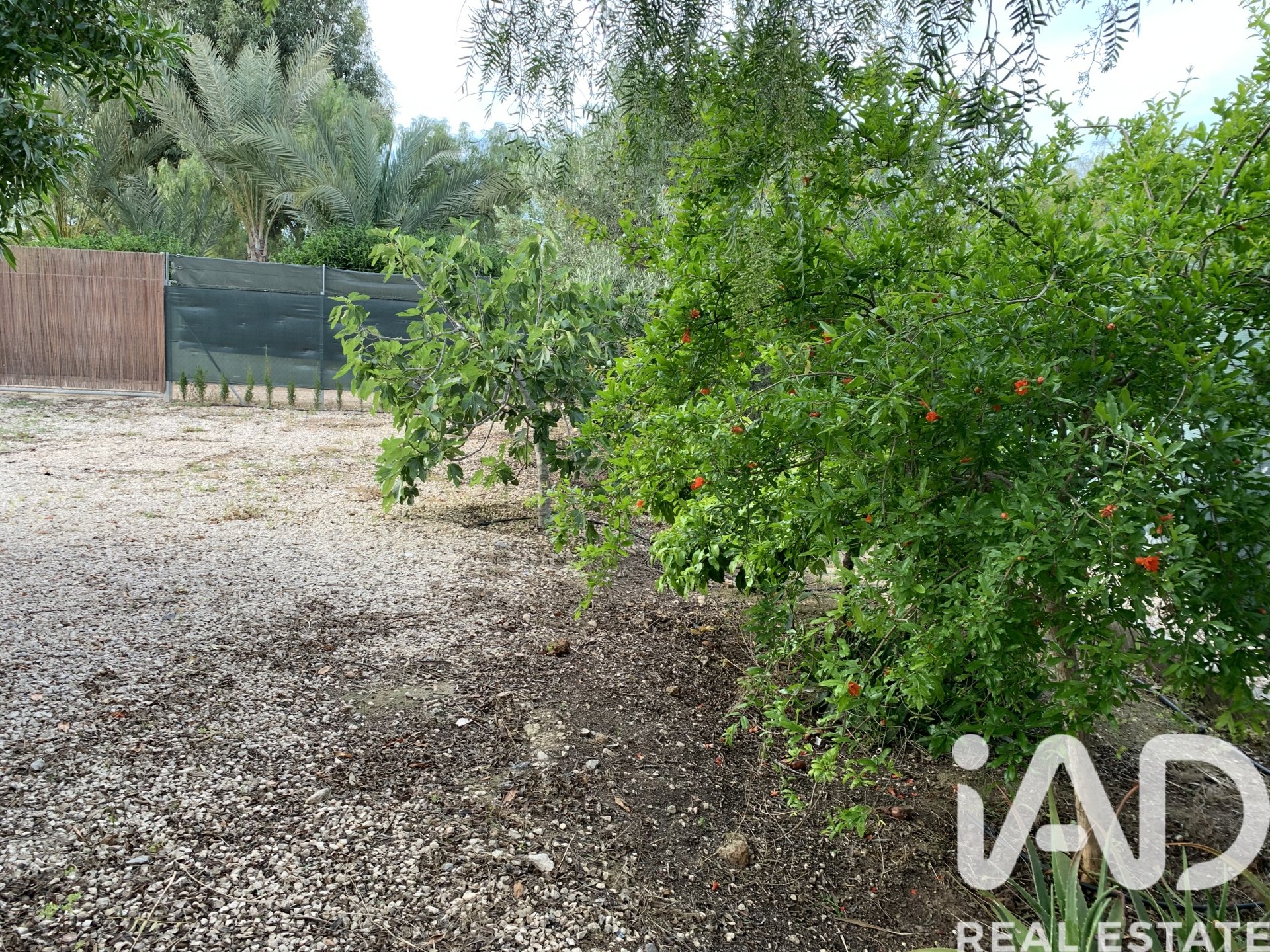 Terreno a Elche, Alicante, Spagna 750 mq. N° 184693