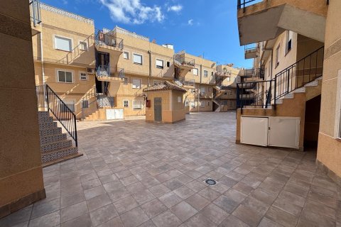 Apartament w Torrevieja, Alicante, Hiszpania 78 mkw. nr 182955