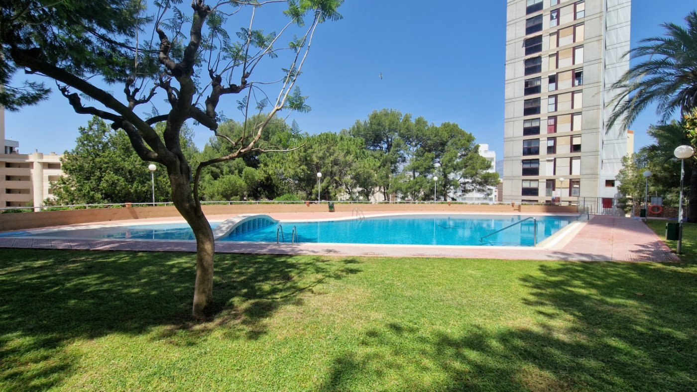 Apartamento en Benidorm, Alicante, España 2 dormitorios,  No. 183554