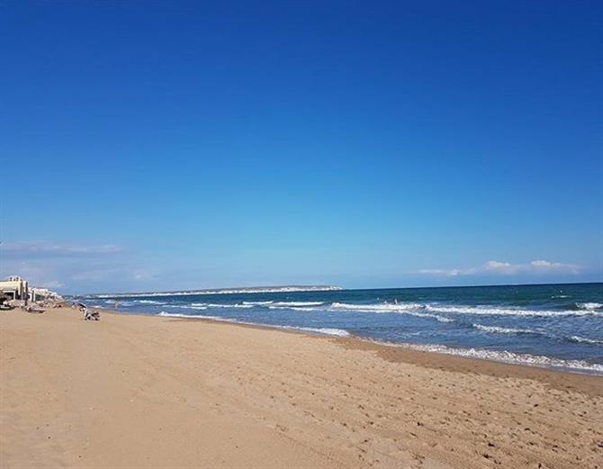 Villa in La Marina, Alicante, Spain 3 bedrooms, 211 sq.m. No. 96674