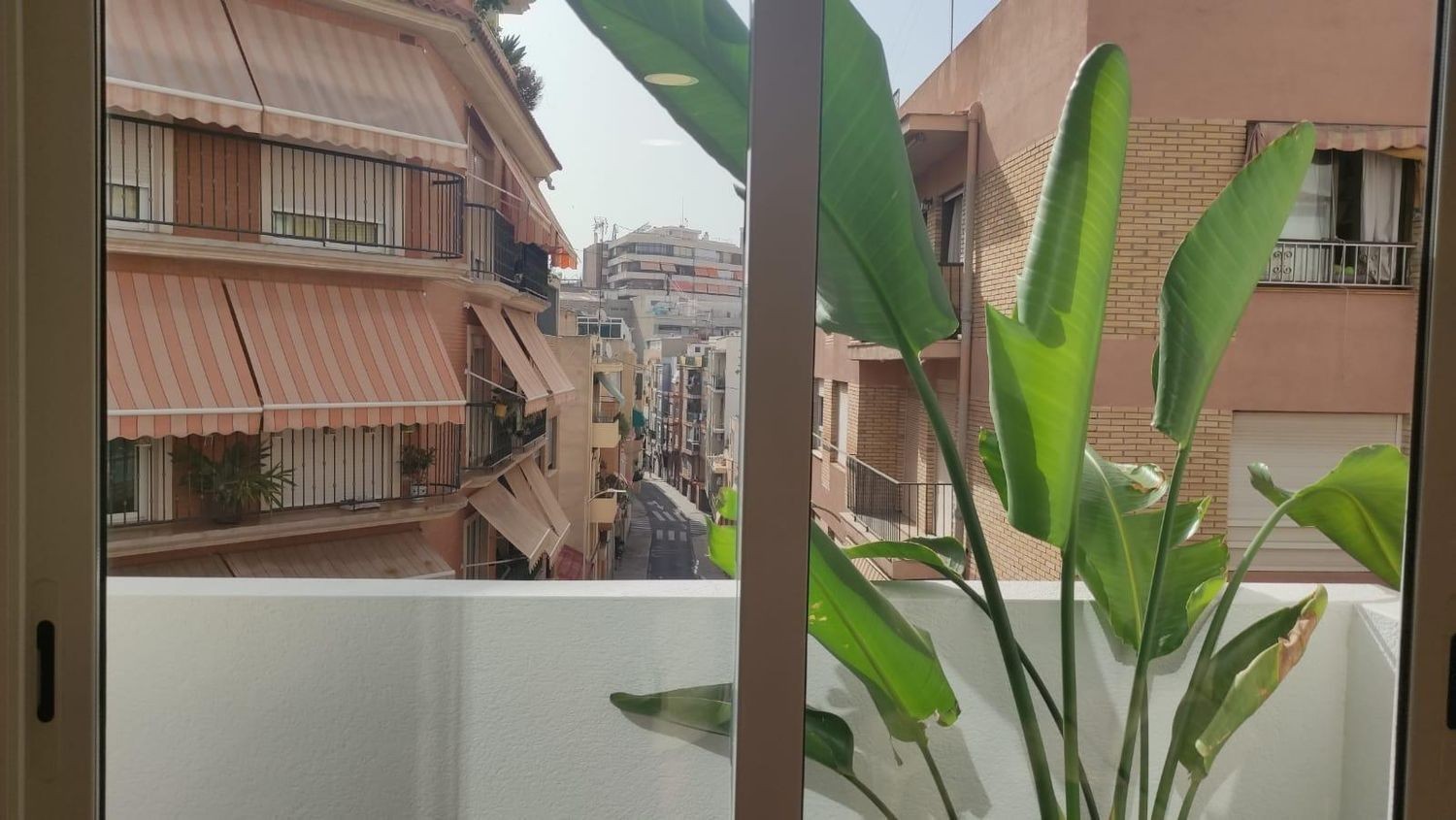 Appartamento a Alicante, Spagna 2 camere da letto, 77 mq. N° 181709