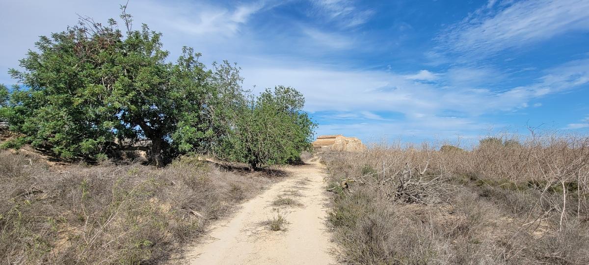 Finca Alicante, Spānijā 1 istaba, 889 m2 Nr. 183854