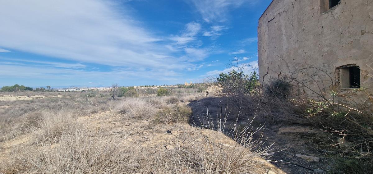 Finca Alicante, Spānijā 1 istaba, 889 m2 Nr. 183854
