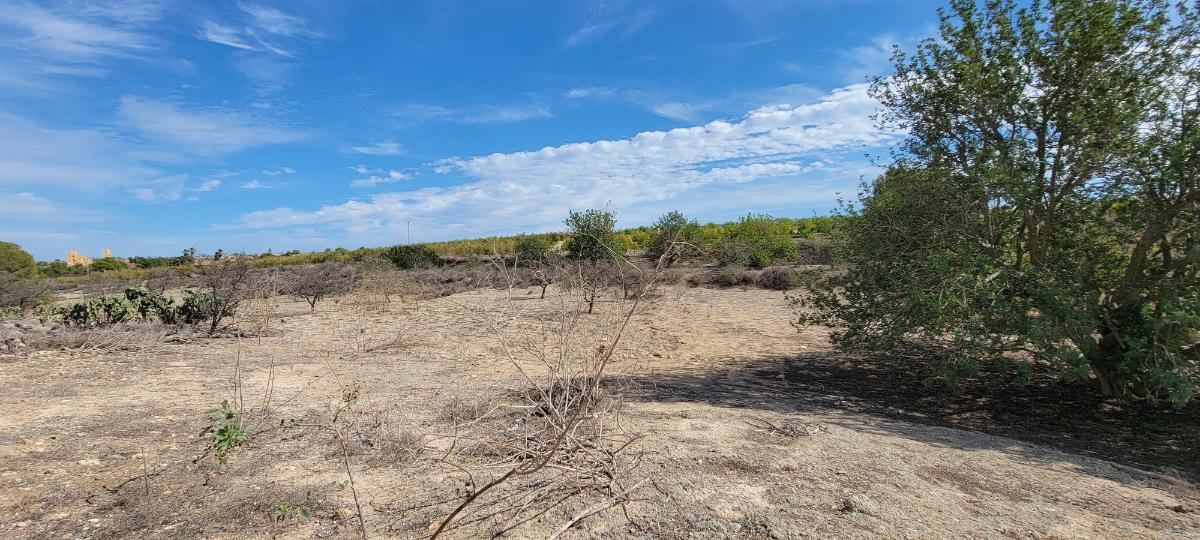 Finca Alicante, Spānijā 1 istaba, 889 m2 Nr. 183854