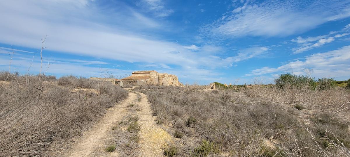 Finca Alicante, Spānijā 1 istaba, 889 m2 Nr. 183854