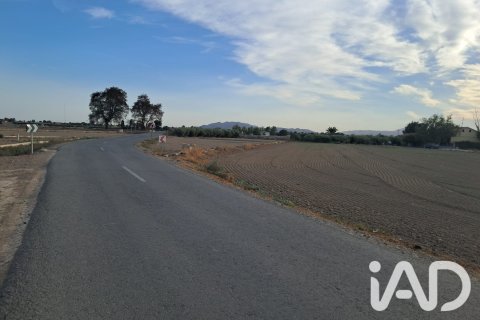 Zemes gabals Lorca, Murcia, Spānijā 5470 m2 Nr. 196594