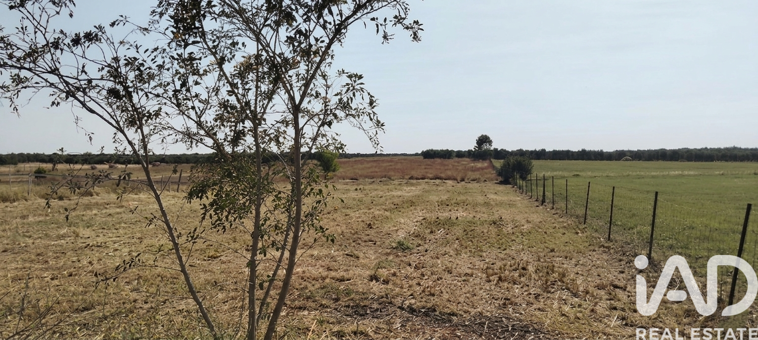 Land plot in Dos Hermanas, Seville, Spain 26606 sq.m. No. 188331