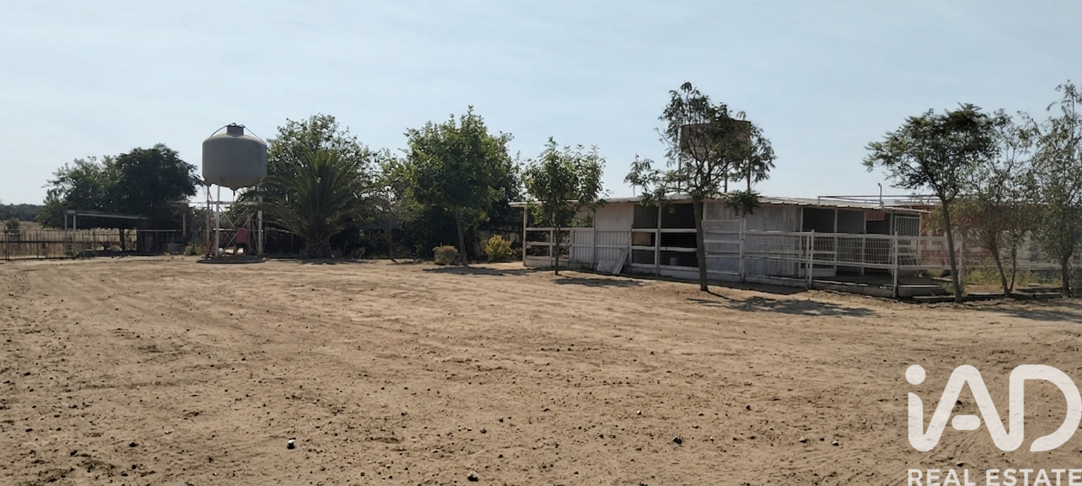 Land plot in Dos Hermanas, Seville, Spain 26606 sq.m. No. 188331