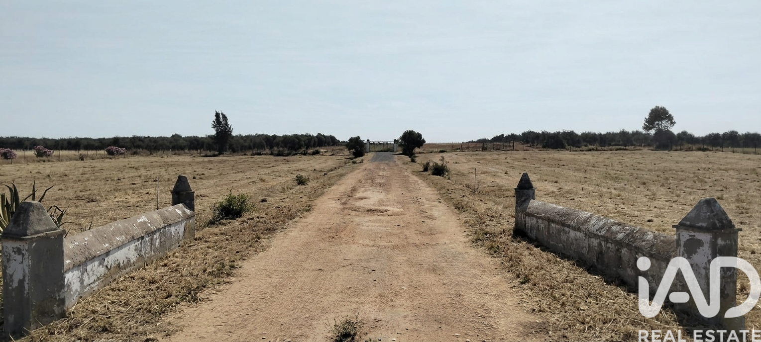 Land plot in Dos Hermanas, Seville, Spain 26606 sq.m. No. 188331