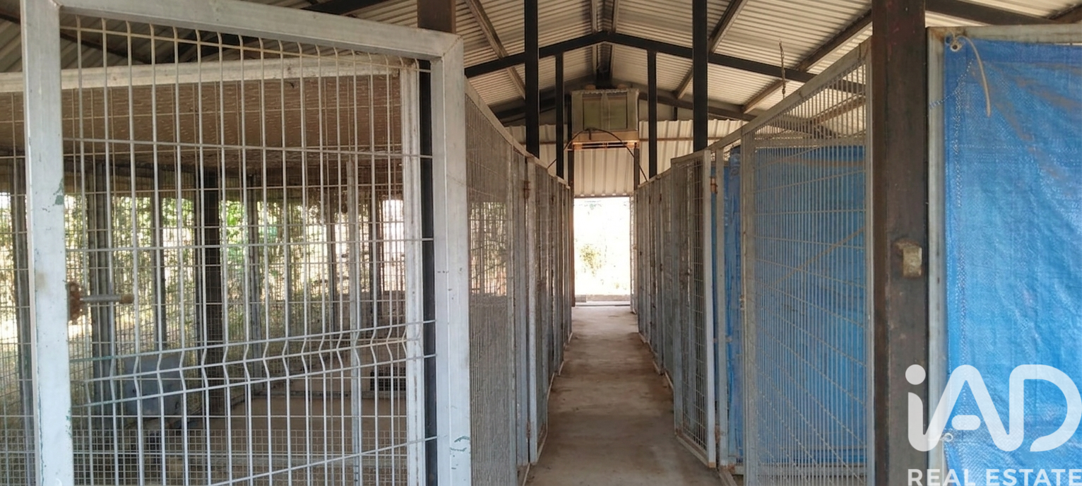 Land plot in Dos Hermanas, Seville, Spain 26606 sq.m. No. 188331
