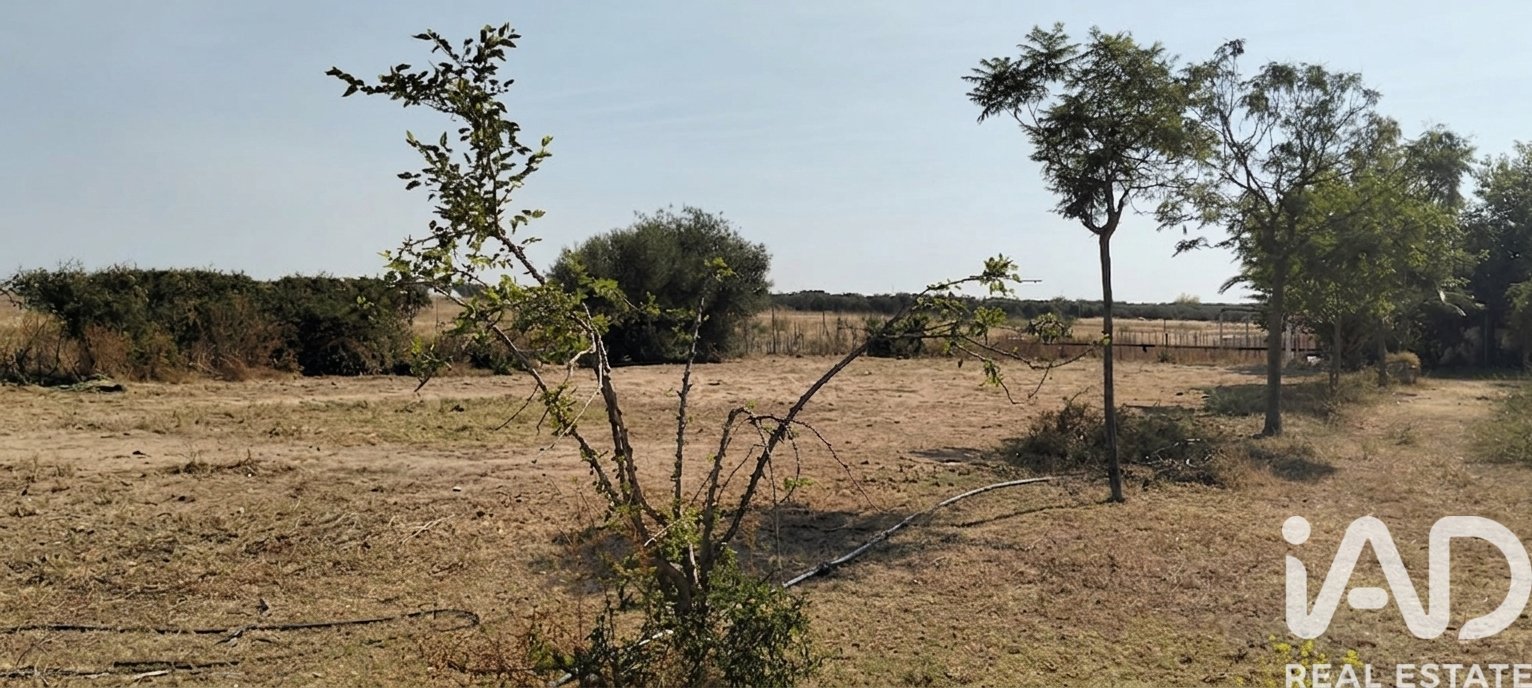 Land plot in Dos Hermanas, Seville, Spain 26606 sq.m. No. 188331