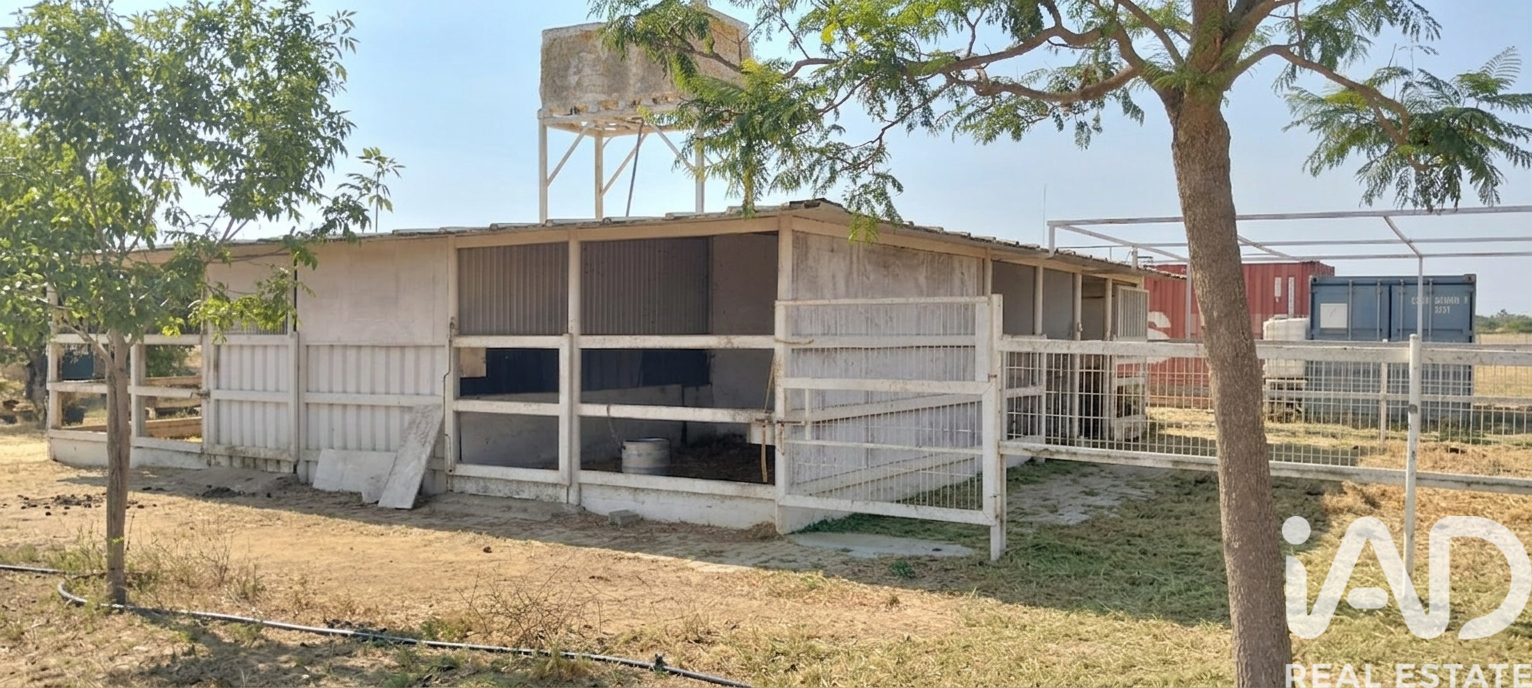 Land plot in Dos Hermanas, Seville, Spain 26606 sq.m. No. 188331