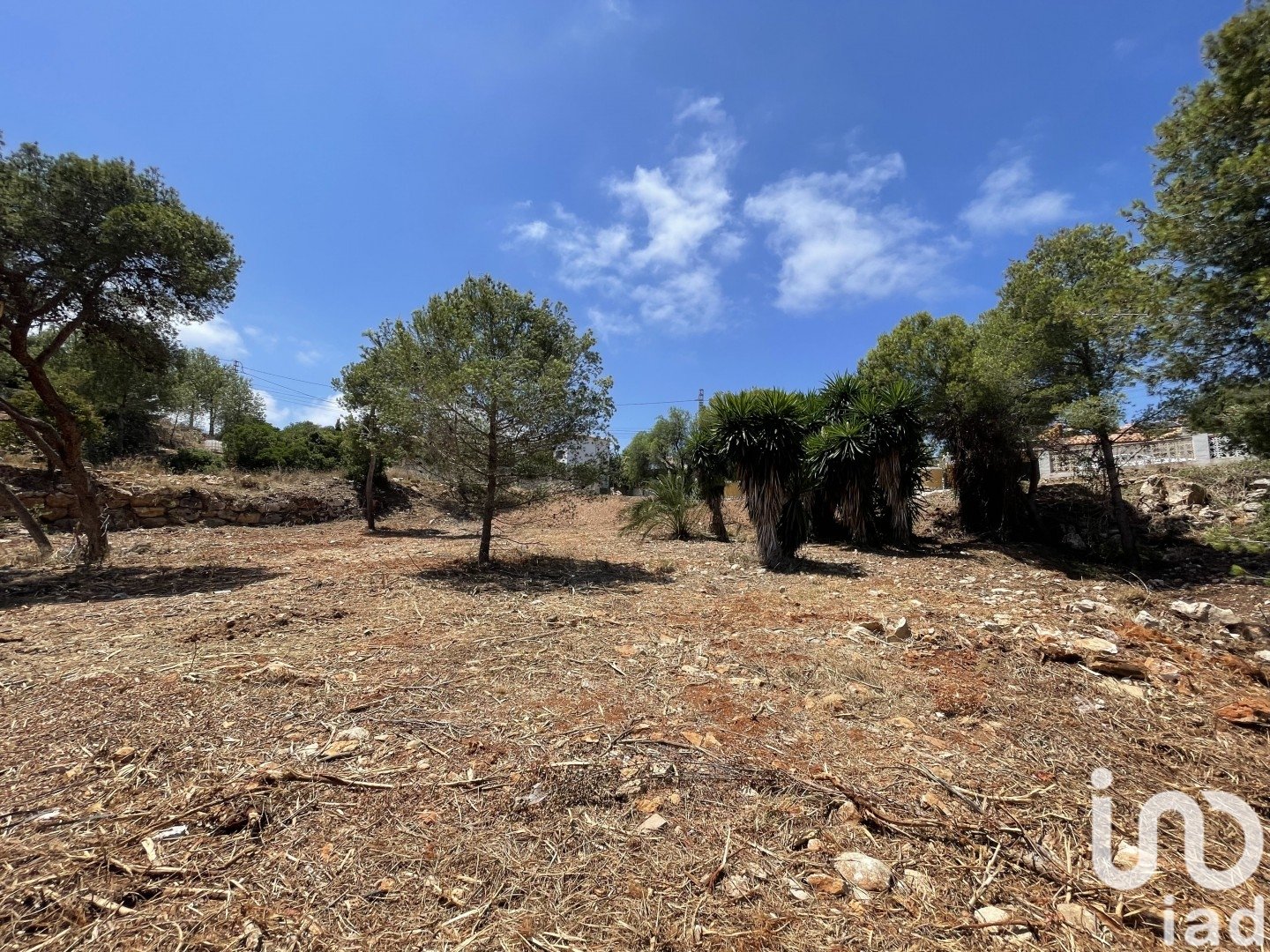 Land in Costa Nova, Alicante, Spanien 1744 m2 Nr. 153846