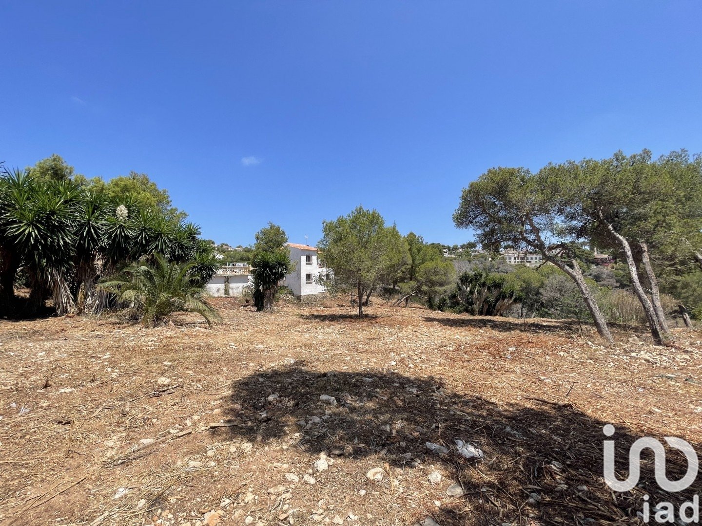 Land in Costa Nova, Alicante, Spanien 1744 m2 Nr. 153846