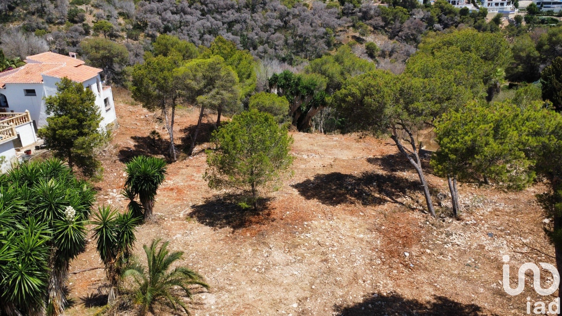 Land in Costa Nova, Alicante, Spanien 1744 m2 Nr. 153846