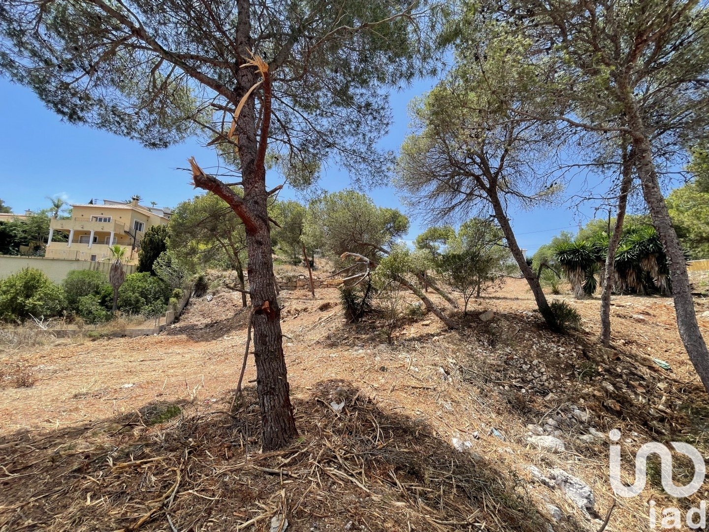 Land in Costa Nova, Alicante, Spanien 1744 m2 Nr. 153846