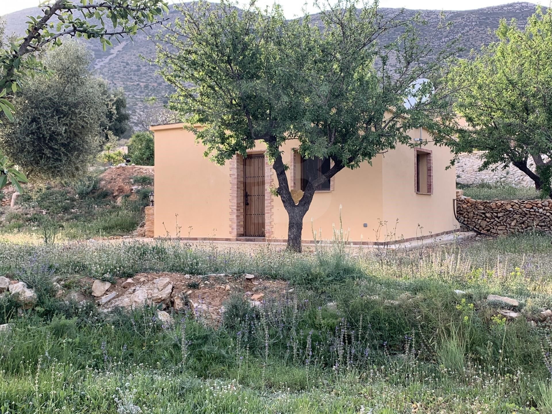 Talo Benissa, Alicante, Espanja 8 makuuhuonetta, 607 m2 No. 157079