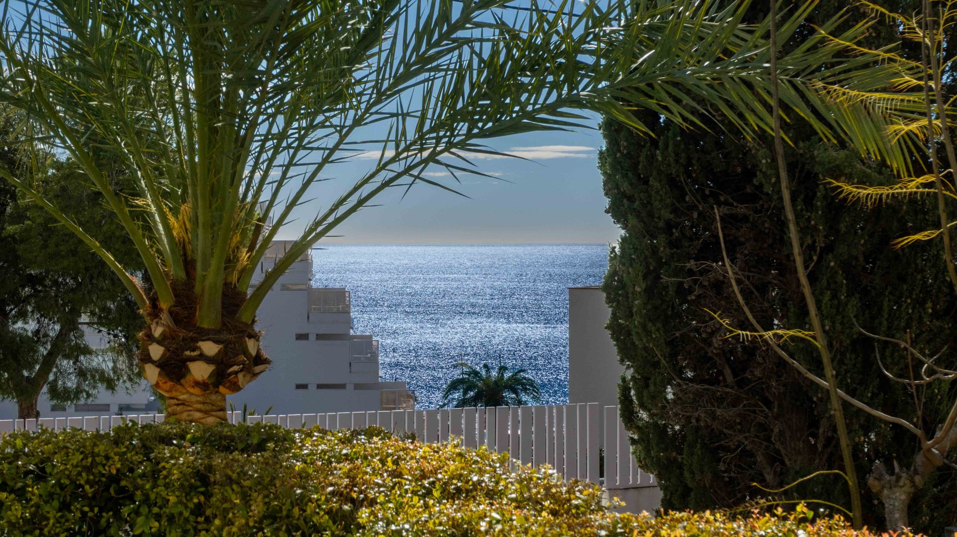 Dzīvoklis Portals Nous, Mallorca, Spānijā 2 istabas, 227 m2 Nr. 154703