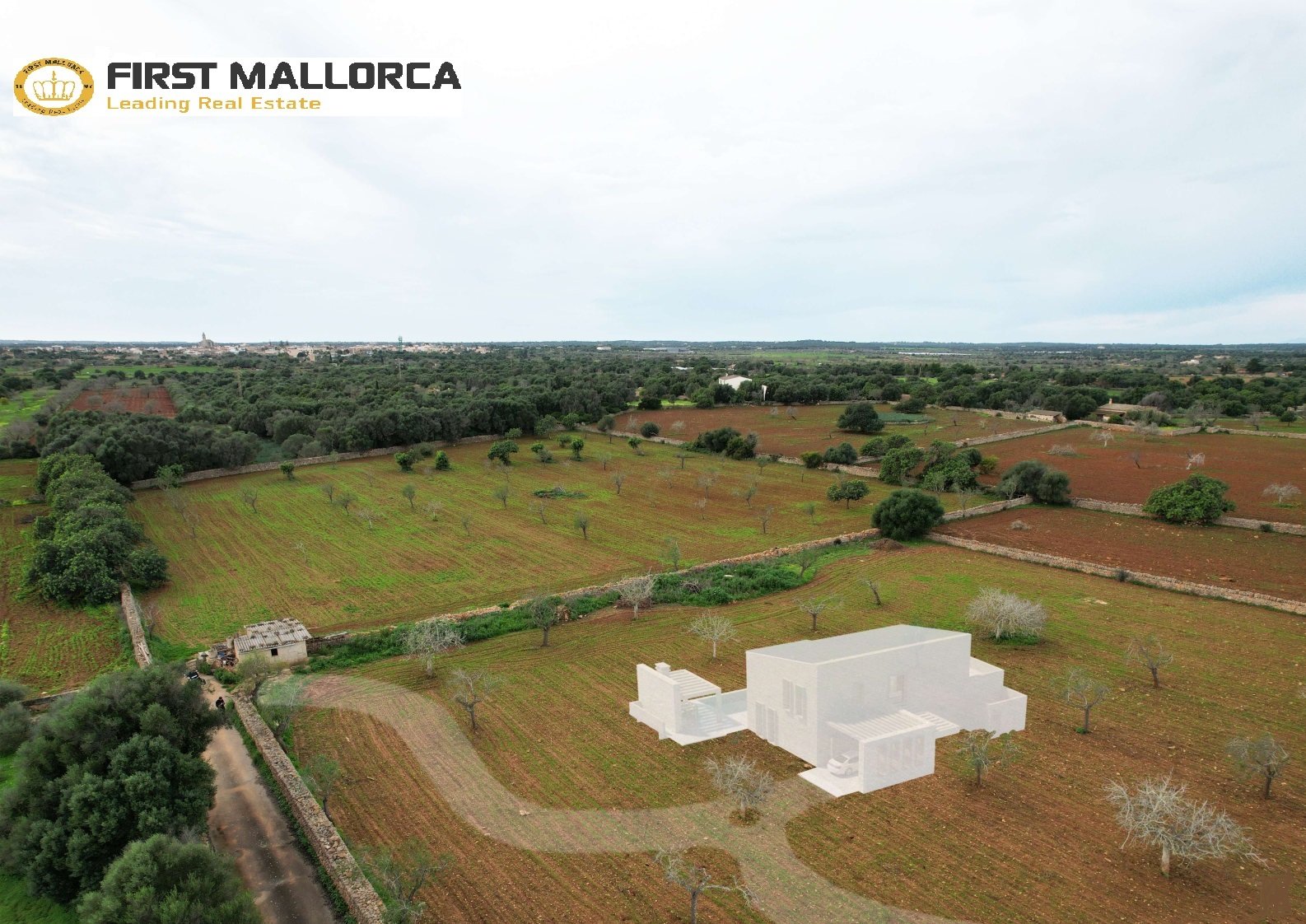 Land plot in Santanyi, Mallorca, Spain 22000 sq.m. No. 154701