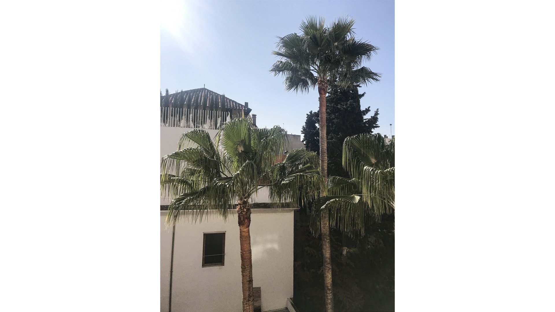 Apartment à Palma de Majorca, Mallorca, Espagne 3 chambres, 125 m2 No. 195226