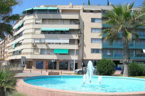 Gewerbeimmobilien in Torrevieja, Alicante, Spanien 170 m2 Nr. 99858
