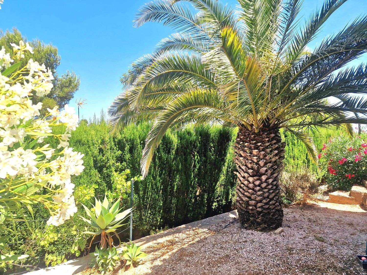 Villa à Javea, Alicante, Espagne 3 chambres, 245 m2 No. 179548