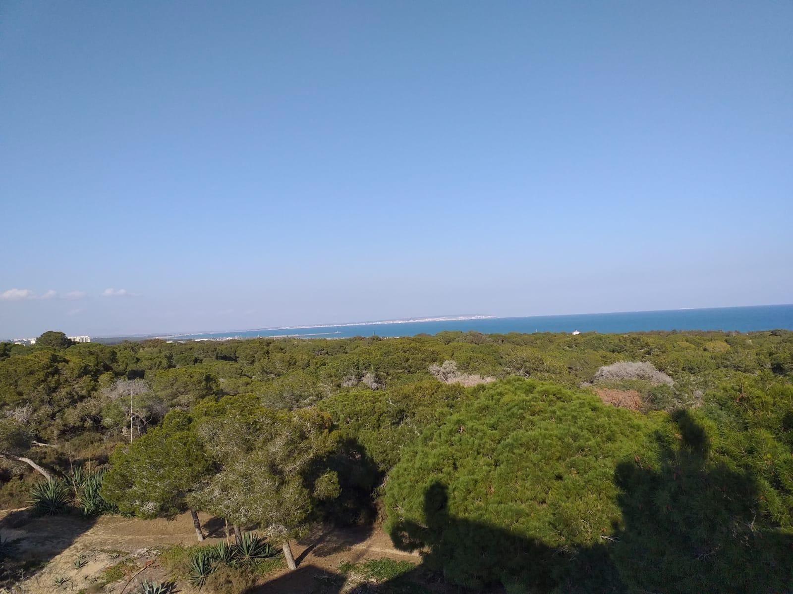 Wohnung in Guardamar del Segura, Alicante, Spanien 3 Schlafzimmer, 136 m2 Nr. 147935