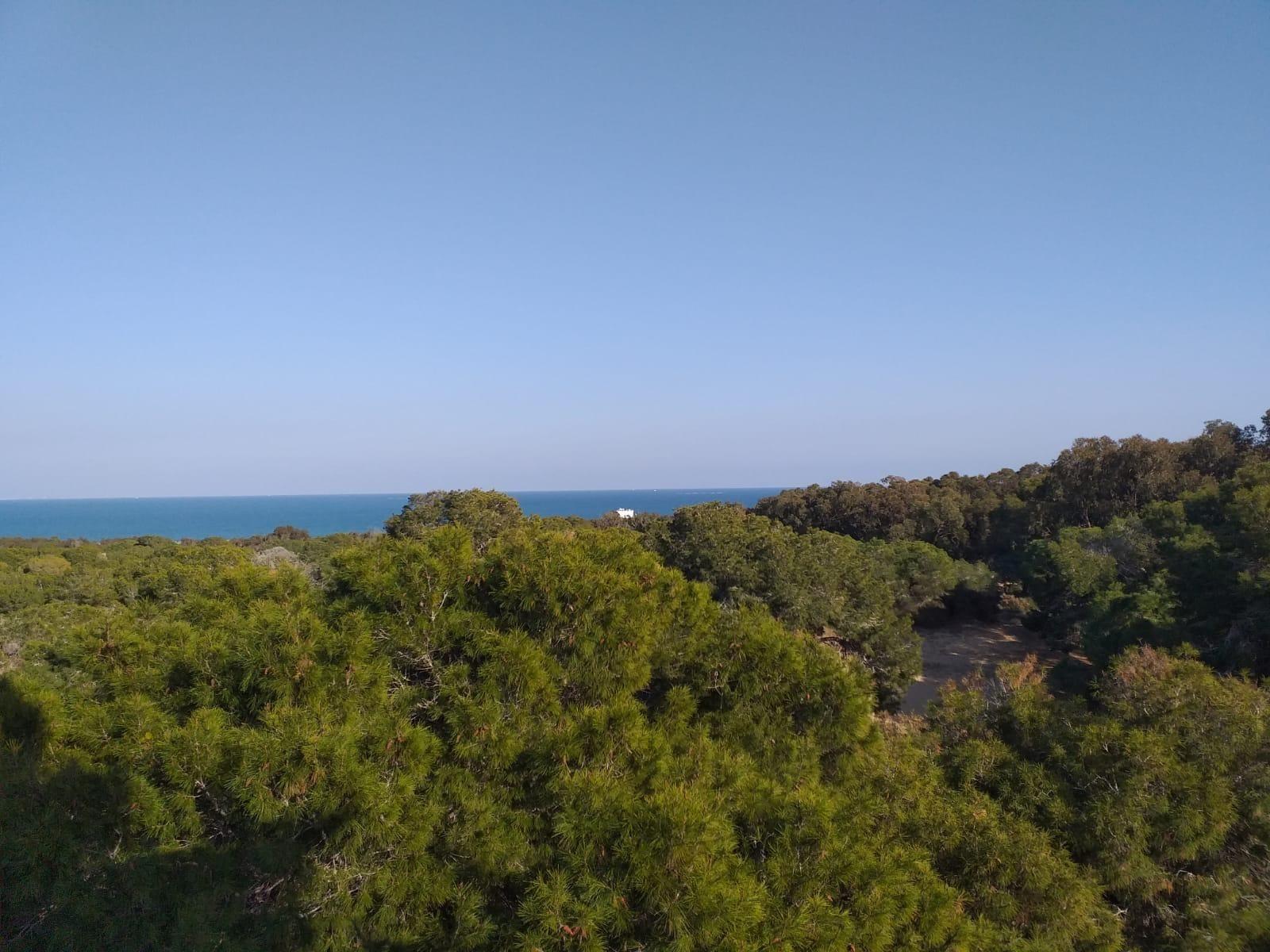 Wohnung in Guardamar del Segura, Alicante, Spanien 3 Schlafzimmer, 136 m2 Nr. 147935
