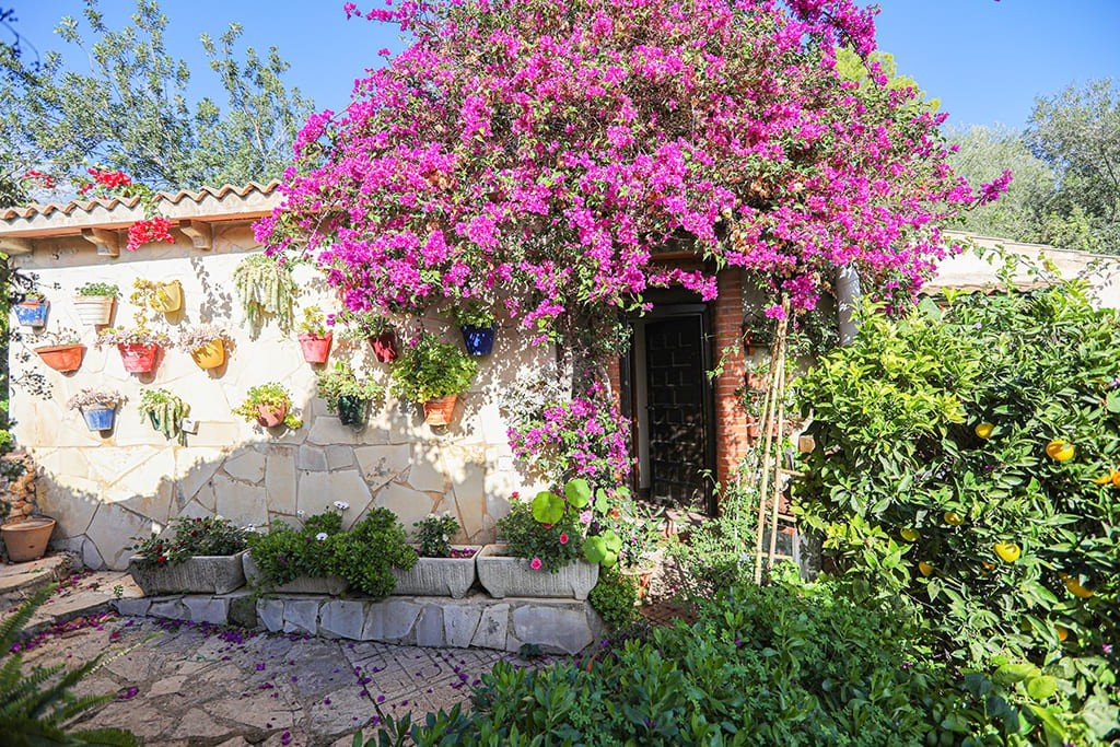 Villa Esporles, Mallorca, Spānijā 8 istabas, 400 m2 Nr. 147939